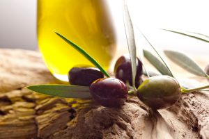 olive oil and olive branch backlit on old olive tree